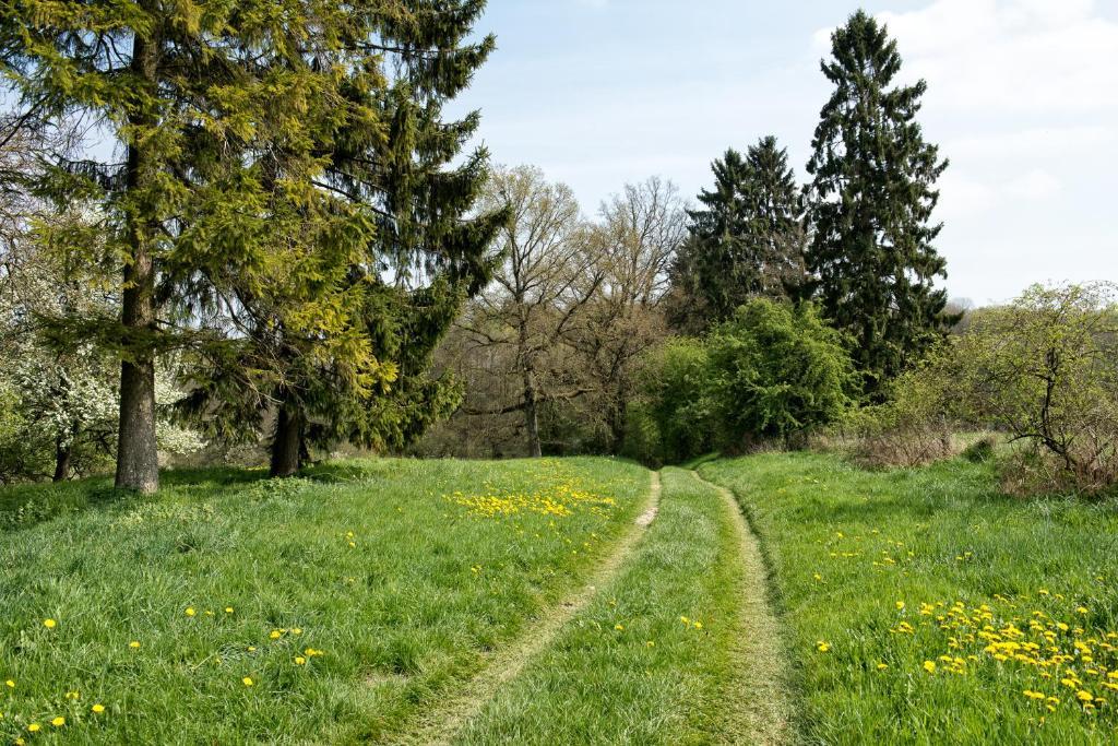 Entre Nous Hotel Rozoy-sur-Serre ภายนอก รูปภาพ